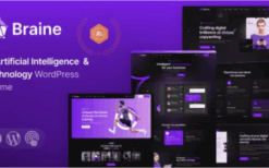 Braine v1.1 Digital AI WordPress Theme