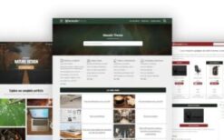 Wasabi v2.9.0 Best WordPress Theme for SEO