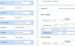 Dropshipping Export PRO v2.1.3 by WPDesk