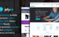 JelyCo v1.1.0 ISP & Telecom WordPress Theme
