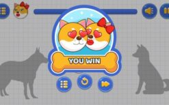 Premium Doge Lover v1.0 HTML5 Game,Construct 3