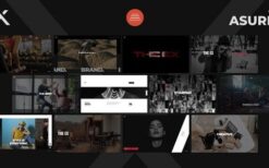 Asurex v1.0 WordPress Theme