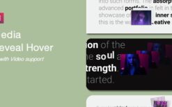 Media Reveal Hover for Elementor v1.1.0