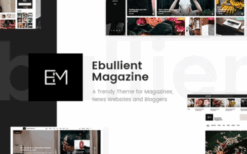 Ebullient v1.7 Magazine & News Theme