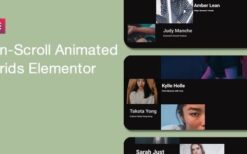 On-Scroll Animated Grid for Elementor v1.0.8