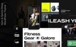 FitFlex (v1.6.0) Gym & Sports Store WordPress Theme