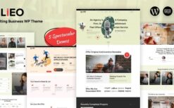 LIEO v1.0.3 Consulting Theme