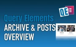 Query Elements v0.6.2 Work with queries directly in Elementor