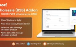 Wholesale (B2B) Add-on for YOORI PWA eCommerce (v1.1.0)