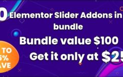 BWD Card Bundle For Elementor v1.0