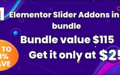 BWD Slider Bundle For Elementor v1.0