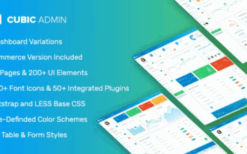 Cubic Admin (v1.0) Dashboard + UI Kit Framework with Frontend Templates