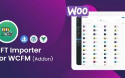 WooCommerce NFT Importer – WCFM (Addon) v1.0.5