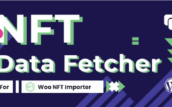 WooCommerce NFT Importer – Data Fetcher via Cronjob (Addon) v1.0