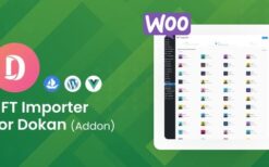 WooCommerce NFT Importer – Dokan (Addon) v1.0