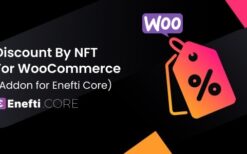 Discount by NFT for WooCommerce (addon) v1.0