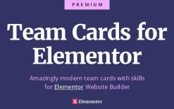 Team Cards for Elementor v1.0.0 Ultimate Team and Skills Widget Cards