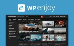 VideoLife Pro (v1.0.8) WPEnjoy Theme