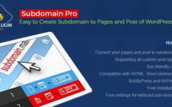 Subdomain Pro v3.0.0