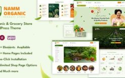 Namm (v1.1.0) Grocery Shop WordPress Theme