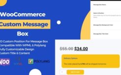 v1.0.0 WooCommerce Product Page Custom Message Box