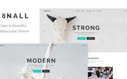 Conall v.2.4 Clean Multipurpose Theme