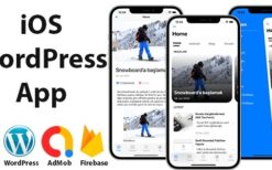 SwiftUI (v1.0) iOS WordPress App for Blog and News Site with AdMob, Firebase Push Notification and Widget