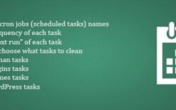 * WP Cron Cleaner Pro (v1.0.3)