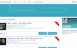 YouTube Media Converter Script (1.10.2024)