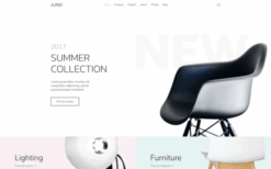 Juno (v4.0.5) YOOtheme WordPress Theme