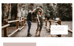 Lilian (v4.0.5) YOOtheme WordPress Theme