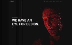 Vision (v4.0.5) YOOtheme WordPress Theme
