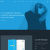 Max (v4.0.5) YOOtheme WordPress Theme