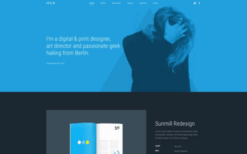 Max (v4.0.5) YOOtheme WordPress Theme