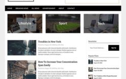 NewsPaperly (v118.5) Superb Themes