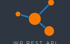 * Rest Routes PRO (v5.0.0)