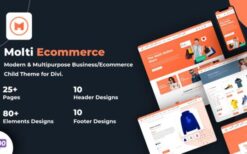 Molti Ecommerce (v1.0.6) Elegant Themes