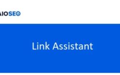 AIOSEO (v1.1.4) Link Assistant