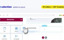 Selection (v1.12.9) Elementor Addons Pack for WordPress
