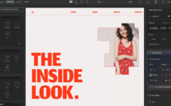 Droip (v2.5.2) All-in-one No-Code Builder