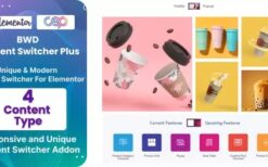 BWD Content Switcher Plus for Elementor v1.0