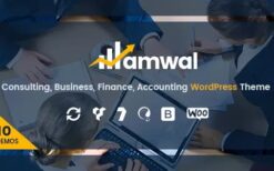 Amwal v1.3.8 Consulting Finance WordPress Theme