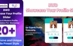 BWD Showcase Your Profile Slider for Elementor v1.0