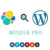 WPSOLR PRO v23.3 WordPress Theme