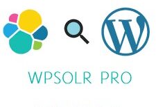 WPSOLR PRO v23.3 WordPress Theme