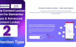 BWD Private Content Locker For Elementor v1.0