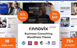 Innovix v1.1.1 Business Consulting