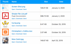 Simple File List Pro v6.1.10