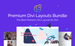 v1.4 Premium Divi Layouts Bundle [Wp Zone]