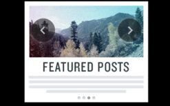 iThemes DisplayBuddy Featured Posts v2.0.37
